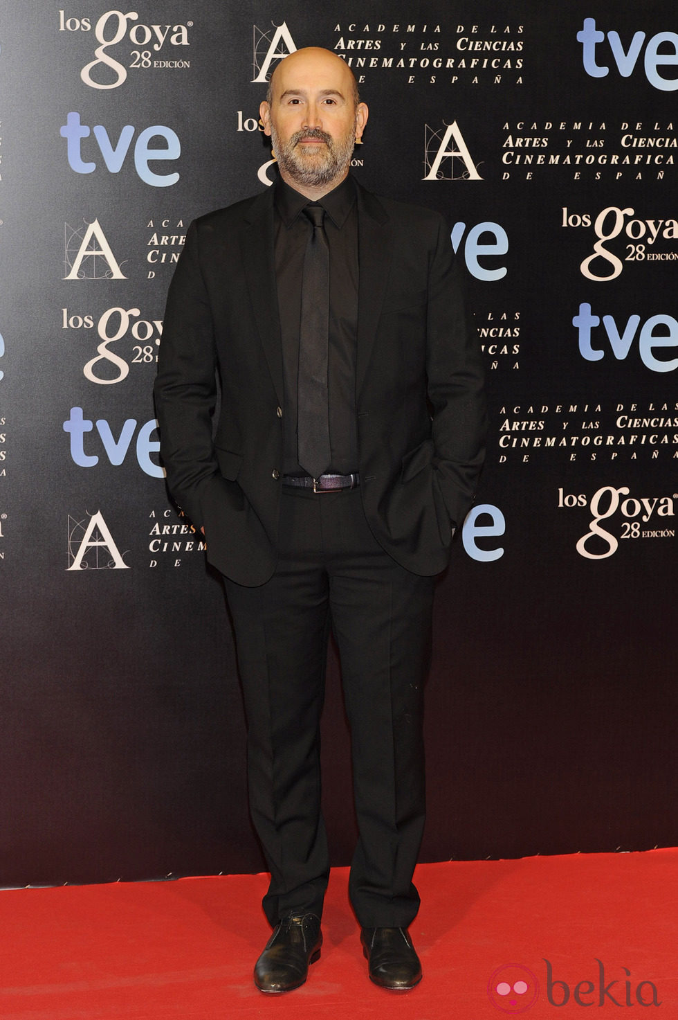 Javier Cámara en la fiesta de nominados a los premios Goya 2014