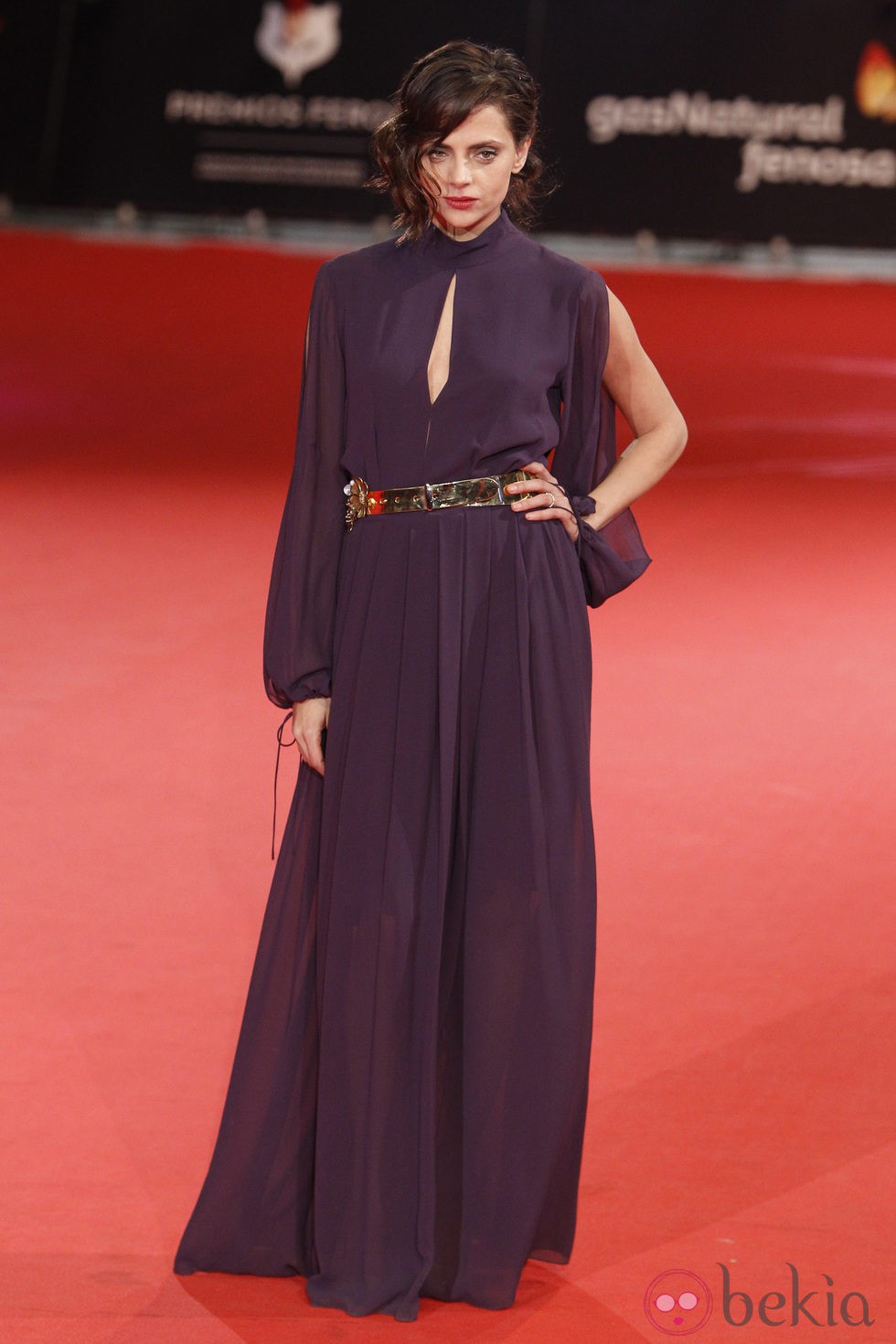Macarena Gómez en la alfombra roja de los Premios Feroz 2014