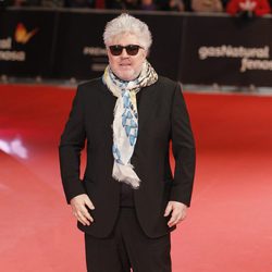 Pedro Almodóvar en la alfombra roja de los Premios Feroz 2014