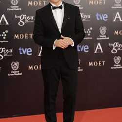 Manel Fuentes en los Premios Goya 2014
