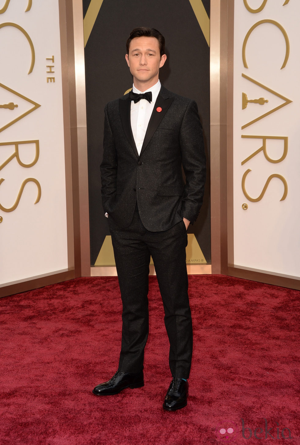 Joseph Gordon-Levitt en la alfombra roja de los Oscar 2014