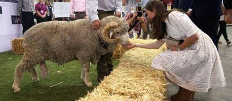 Kate Middleton acaricia un carnero en una feria agrícola en Sydney