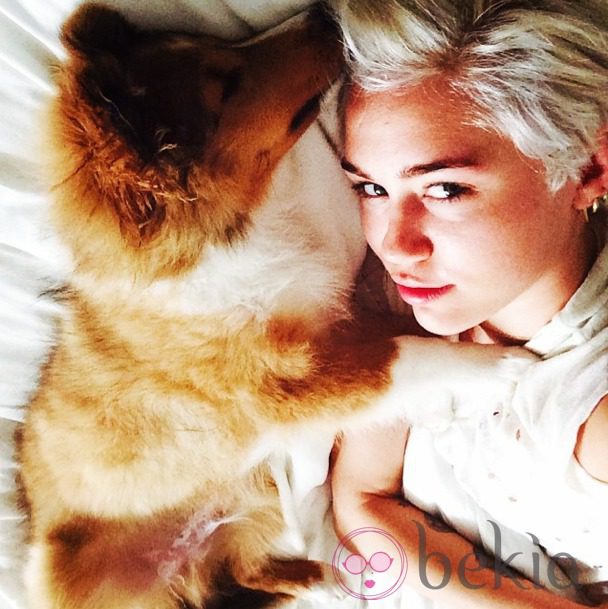 Miley Cyrus y su nuevo perro