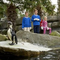 Los Reyes Felipe y Matilde de Bélgica con sus hijos observando unos pingüinos