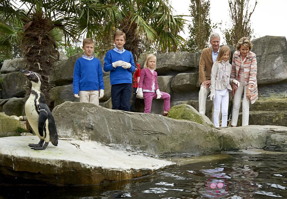Los Reyes Felipe y Matilde de Bélgica con sus hijos observando unos pingüinos