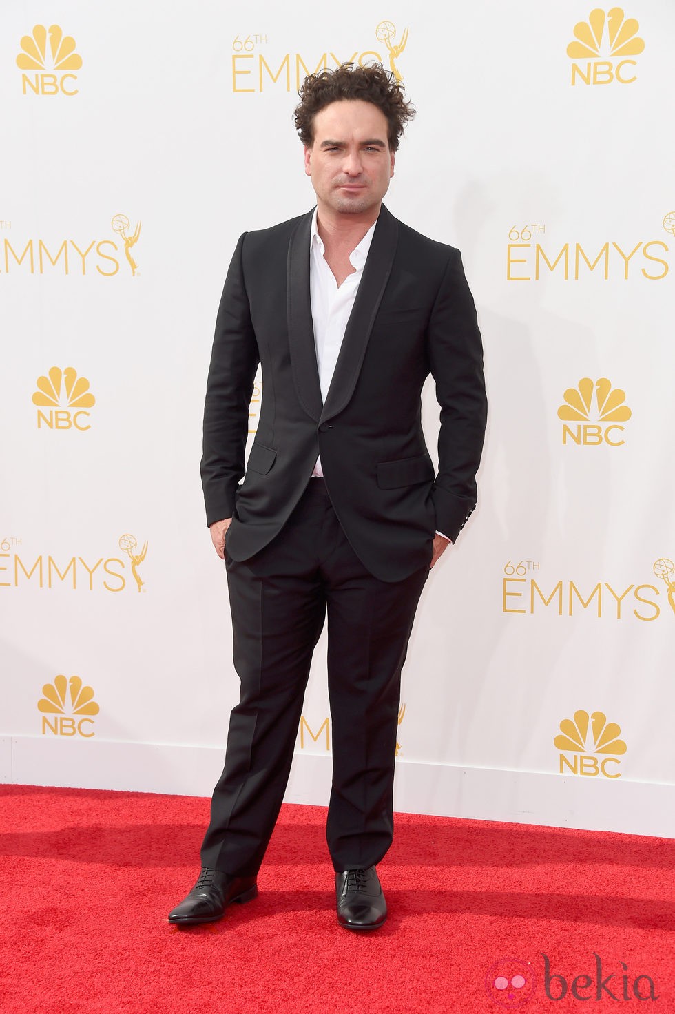 Johnny Galecki en la alfombra roja de los Premios Emmy 2014