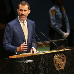 Felipe VI en su primera intervención en la ONU como Rey de España