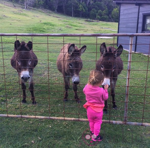 India Hemsworth con tres burros