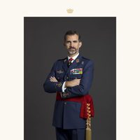 Foto oficial del Rey Felipe VI con uniforme de diario de Capitán General del Ejército del Aire