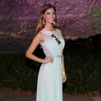 Desiré Cordero acude al evento de bienvenida y recepción de Miss Universo 2015