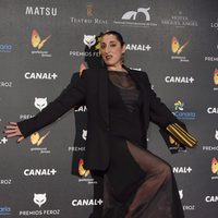 Rossy de Palma en la alfombra roja de los Premios Feroz 2015