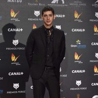 Eduardo Casanova en la alfombra roja de los Premios Feroz 2015