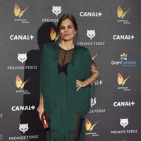Elena Anaya en la alfombra roja de los Premios Feroz 2015