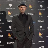 Javier Cámara en la alfombra roja de los Premios Feroz 2015