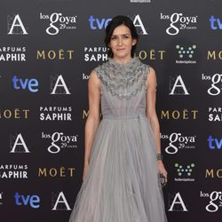 Ángeles González Sinde en la alfombra roja de los Premios Goya 2015