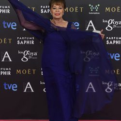 Gemma Cuervo en la alfombra roja de los Premios Goya 2015