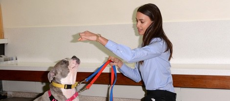 Irina Shayk jugando con un perro de un refugio de animales de Nueva York