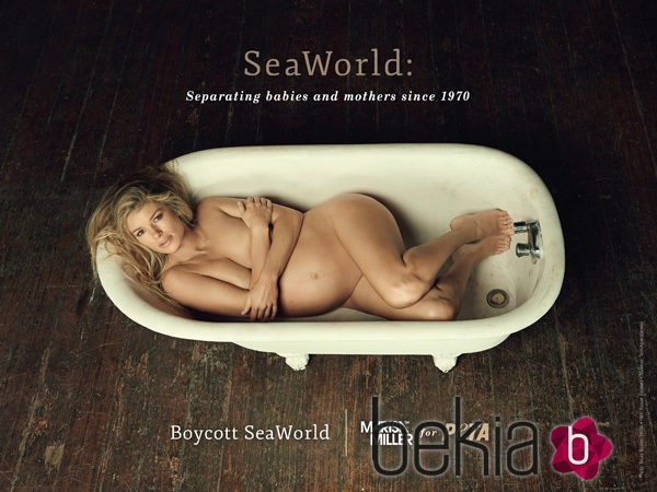 Marisa Miller se desnuda en favor de las ballenas en cautividad de los parques SeaWorld