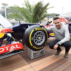Liam Payne en el Grand Prix de Mónaco 2015