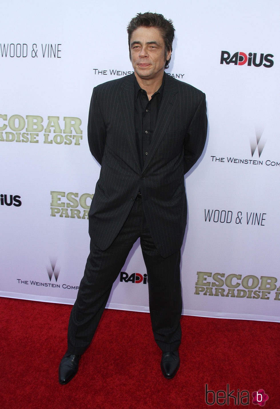 Benicio del Toro en la premiere de 'Escobar: Paraíso Perdido' en Los Angeles