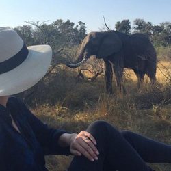 Nicky Hilton observando un elefante en su luna de miel