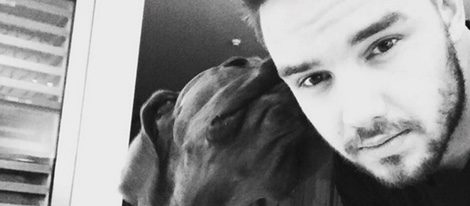 Liam Payne, acompañado de su perro, Watson