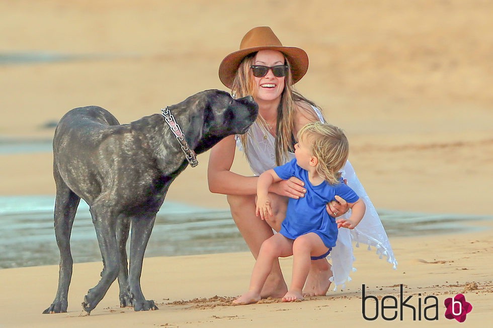 Olivia Wilde con su hijo Otis jugando con un perrito