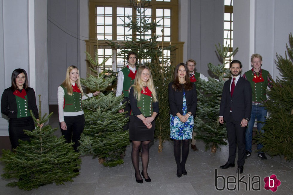 Carlos Felipe de Suecia y Sofia Hellqvist recogen los árboles de Navidad 2015
