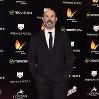 Javier Cámara en la alfombra roja de los Premios Feroz 2016