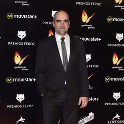 Luis Tosar en la alfombra roja de los Premios Feroz 2016