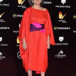 Luisa Gavasa en la alfombra roja de los Premios Feroz 2016