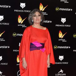 Luisa Gavasa en la alfombra roja de los Premios Feroz 2016