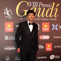 El modelo Andrés Velencoso en los Premios Gaudí 2016