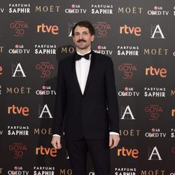 Julián Villagran en la alfombra roja de los Premios Goya 2016