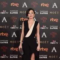 Ana Castillo en la alfombra roja de los Premios Goya 2016