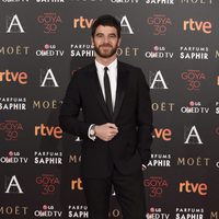 Alfonso Bassave en la alfombra roja de los Premios Goya 2016