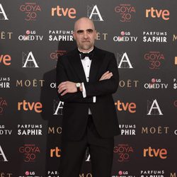 Luís Tosar en la alfombra roja de los Premios Goya 2016
