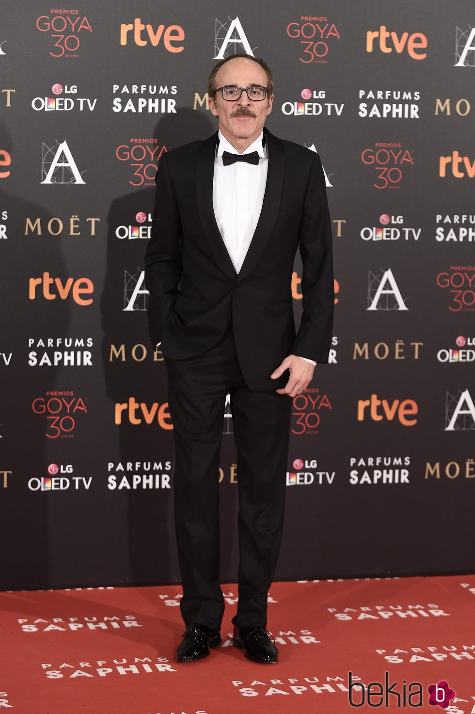 Fernando Guillén Cuervo en la alfombra roja de los Premios Goya 2016