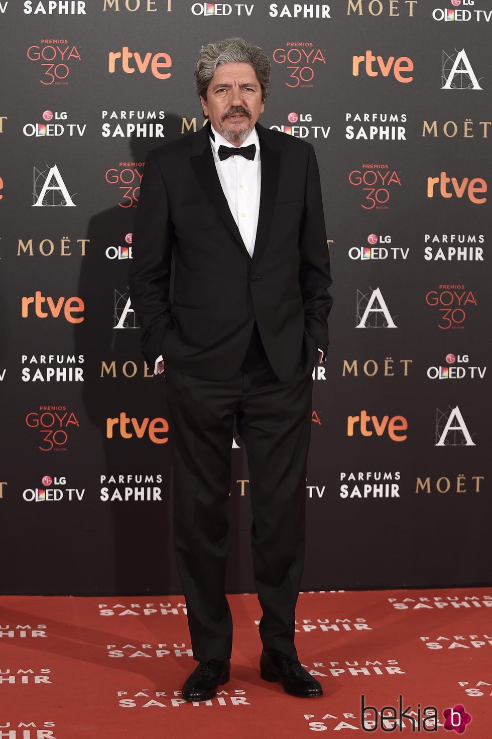 Antonio Dechent en la alfombra roja de los Premios Goya 2016