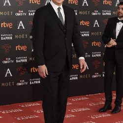 Tim Robbins en la alfombra roja de los Premios Goya 2016