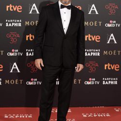 Ricardo Darín en la alfombra roja de los Premios Goya 2016