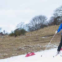 Daniel de Suecia esquiando en un acto oficial