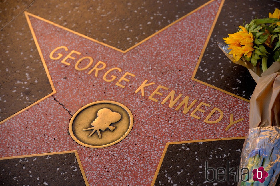 Estrella en el paseo de la fama de George Kennedy