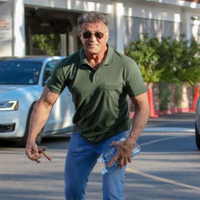 Sylvester Stallone vuelve a su vida diaria tras quedarse sin el Oscar 2016