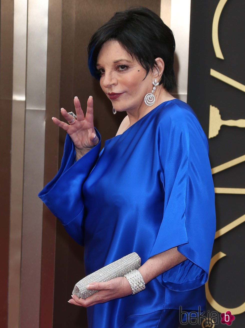 Liza Minelli en la polémica alfombra roja de los Premios Oscar 2014