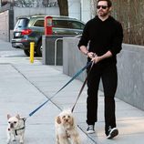 Hugh Jackman pasea con sus perros por Nueva York