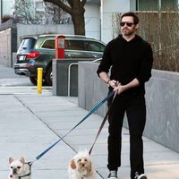 Hugh Jackman pasea con sus perros por Nueva York