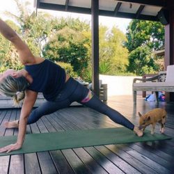 Elsa Pataky haciendo yoga con su cerdita Tina