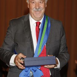 Vicente del Bosque en la entrega de las distinciones al Mérito Deportivo 2011