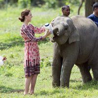 Kate Middleton da el biberón a un cachorro de elefante en La India